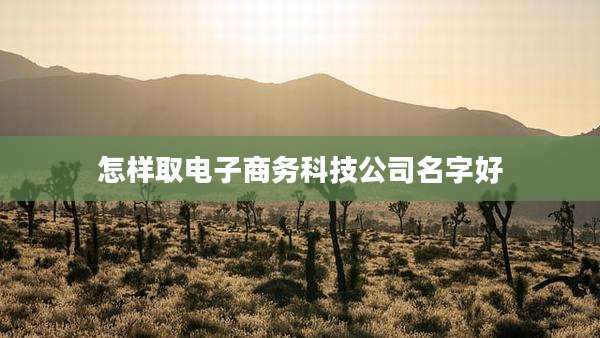 怎样取电子商务科技公司名字好