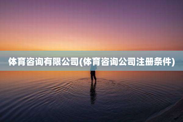体育咨询有限公司(体育咨询公司注册条件)