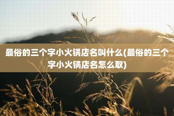 最俗的三个字小火锅店名叫什么(最俗的三个字小火锅店名怎么取)