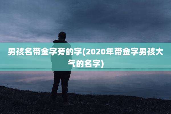 男孩名带金字旁的字(2020年带金字男孩大气的名字)