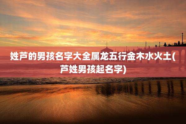 姓芦的男孩名字大全属龙五行金木水火土(芦姓男孩起名字)