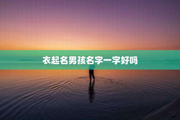 衣起名男孩名字一字好吗
