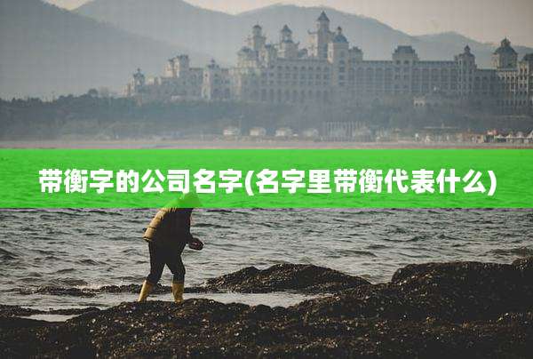 带衡字的公司名字(名字里带衡代表什么)
