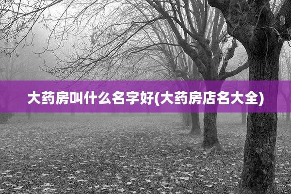 大药房叫什么名字好(大药房店名大全)