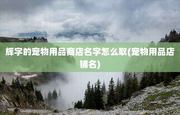 辉字的宠物用品商店名字怎么取(宠物用品店铺名)