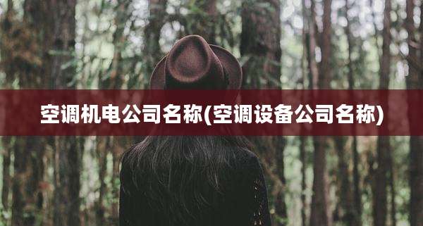 空调机电公司名称(空调设备公司名称)