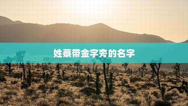姓蔡带金字旁的名字