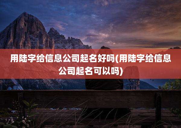 用陆字给信息公司起名好吗(用陆字给信息公司起名可以吗)