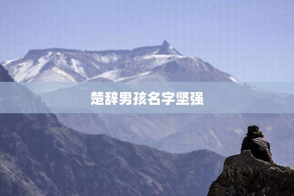 楚辞男孩名字坚强