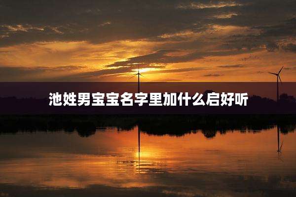 池姓男宝宝名字里加什么启好听