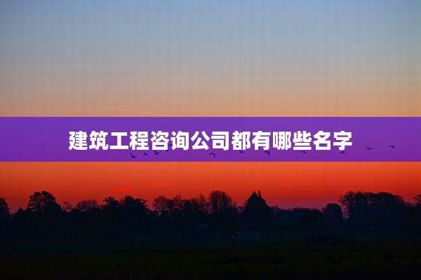 建筑工程咨询公司都有哪些名字