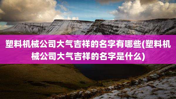 塑料机械公司大气吉祥的名字有哪些(塑料机械公司大气吉祥的名字是什么)