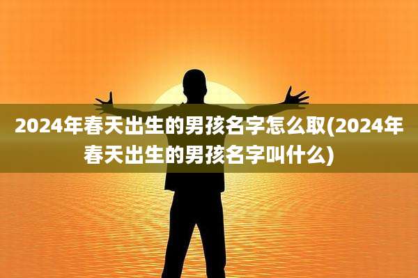 2024年春天出生的男孩名字怎么取(2024年春天出生的男孩名字叫什么)