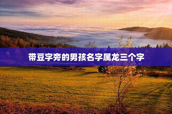 带豆字旁的男孩名字属龙三个字