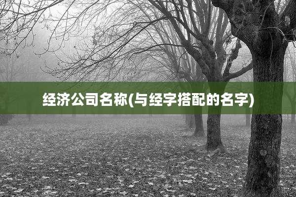 经济公司名称(与经字搭配的名字)