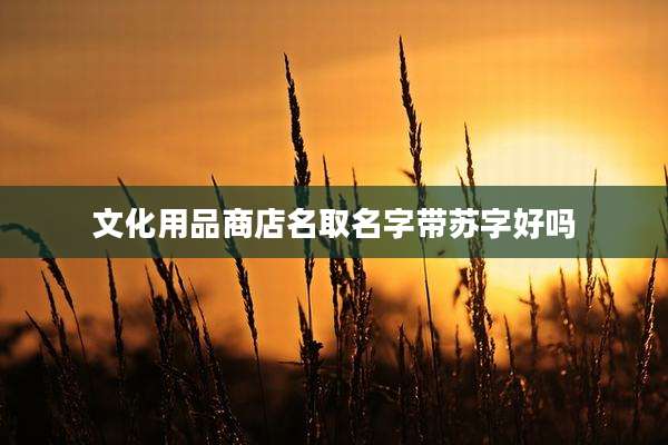 文化用品商店名取名字带苏字好吗