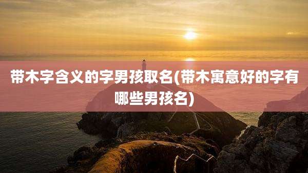 带木字含义的字男孩取名(带木寓意好的字有哪些男孩名)