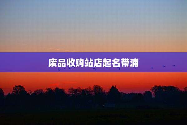 废品收购站店起名带浦