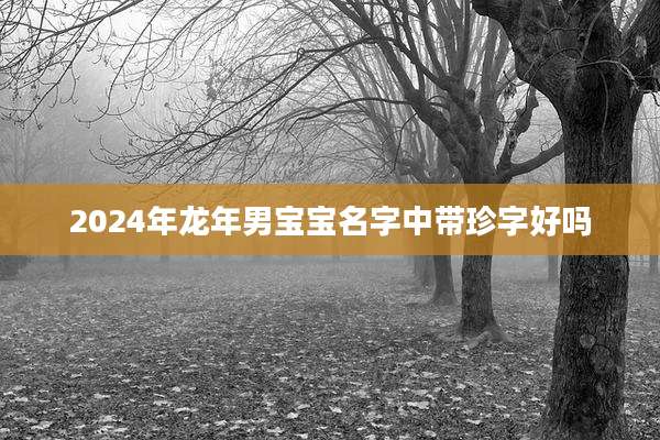 2024年龙年男宝宝名字中带珍字好吗