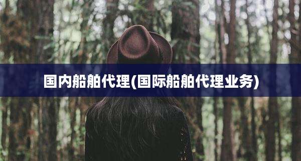 国内船舶代理(国际船舶代理业务)