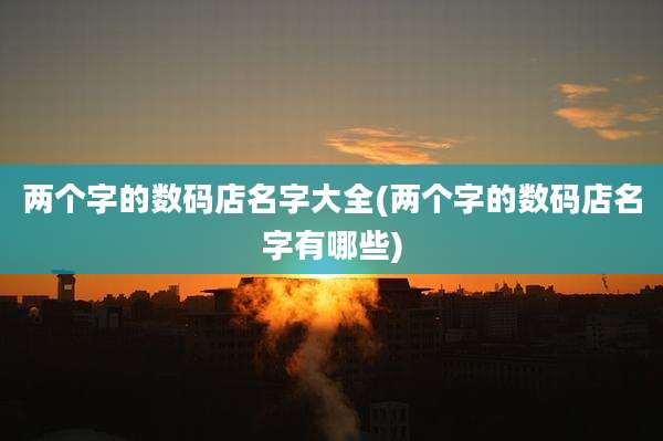 两个字的数码店名字大全(两个字的数码店名字有哪些)