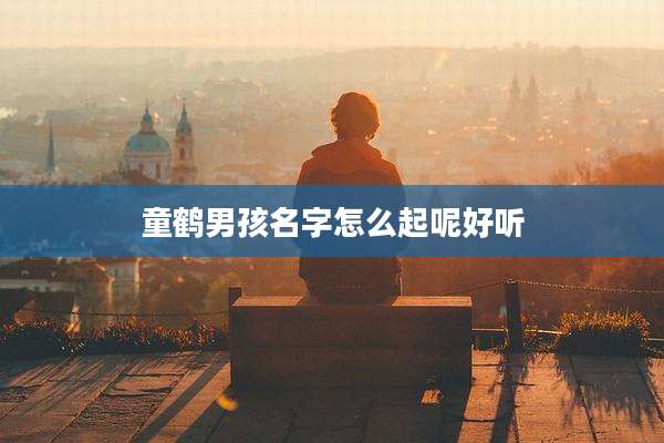 童鹤男孩名字怎么起呢好听