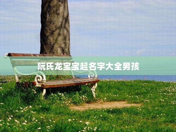 阮氏龙宝宝起名字大全男孩