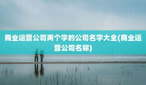 商业运营公司两个字的公司名字大全(商业运营公司名称)