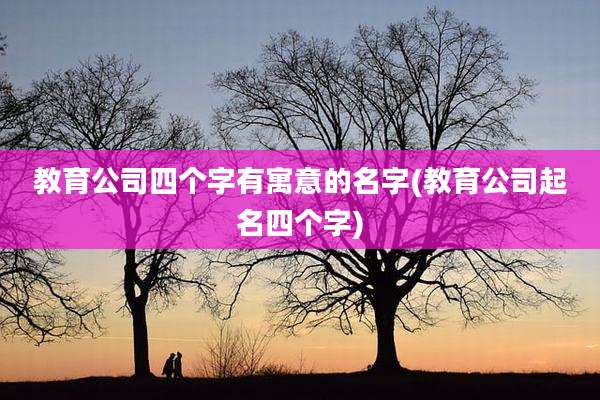 教育公司四个字有寓意的名字(教育公司起名四个字)