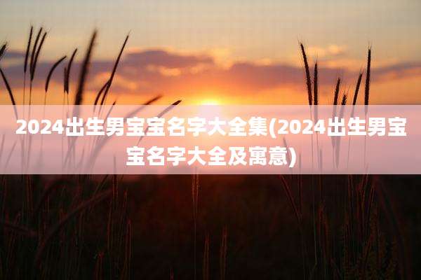 2024出生男宝宝名字大全集(2024出生男宝宝名字大全及寓意)