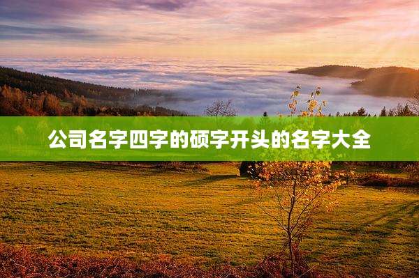 公司名字四字的硕字开头的名字大全