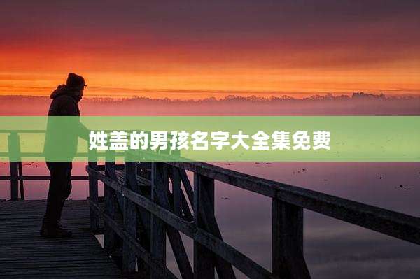 姓盖的男孩名字大全集免费