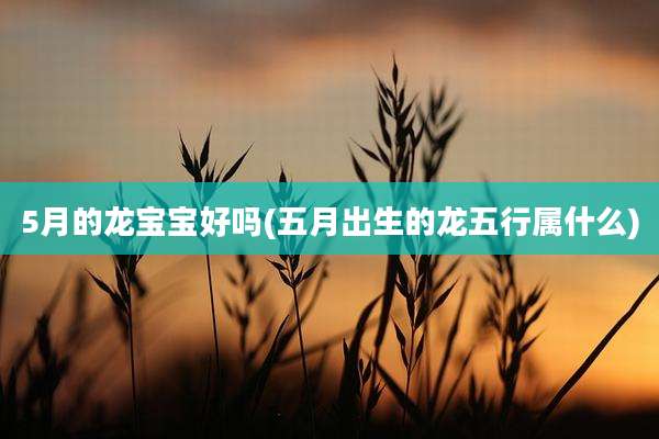 5月的龙宝宝好吗(五月出生的龙五行属什么)