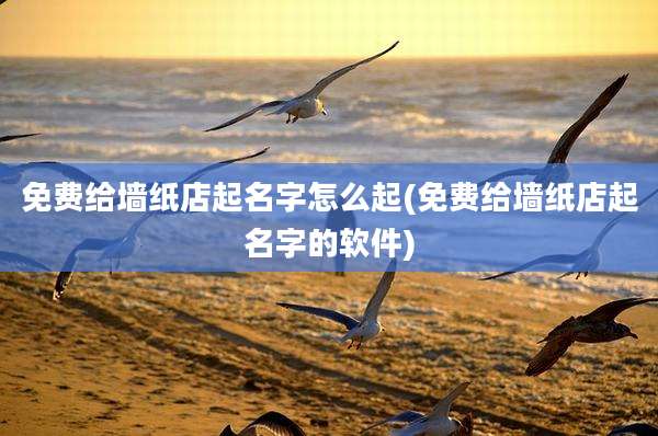 免费给墙纸店起名字怎么起(免费给墙纸店起名字的软件)