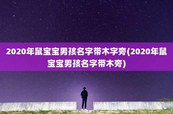2020年鼠宝宝男孩名字带木字旁(2020年鼠宝宝男孩名字带木旁)