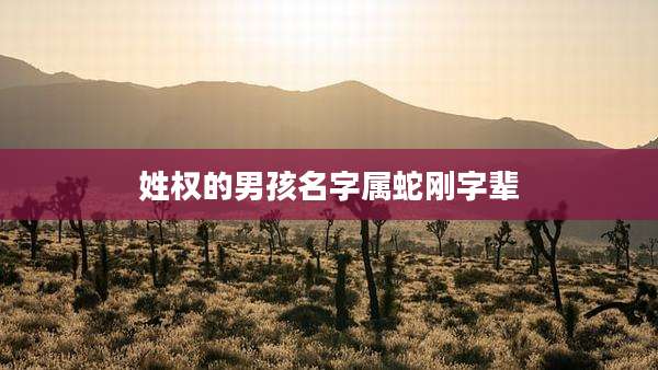 姓权的男孩名字属蛇刚字辈