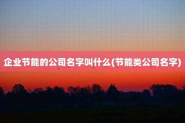 企业节能的公司名字叫什么(节能类公司名字)