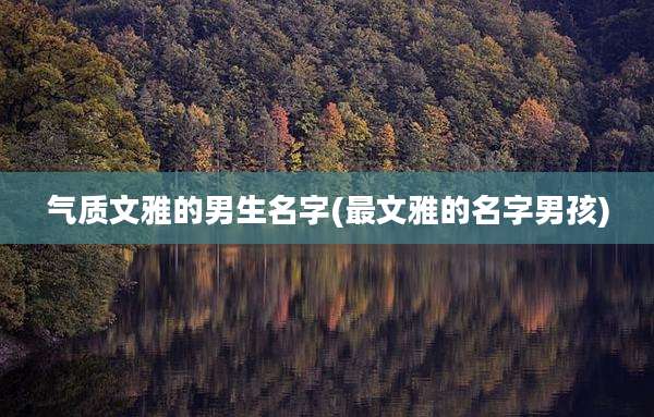 气质文雅的男生名字(最文雅的名字男孩)