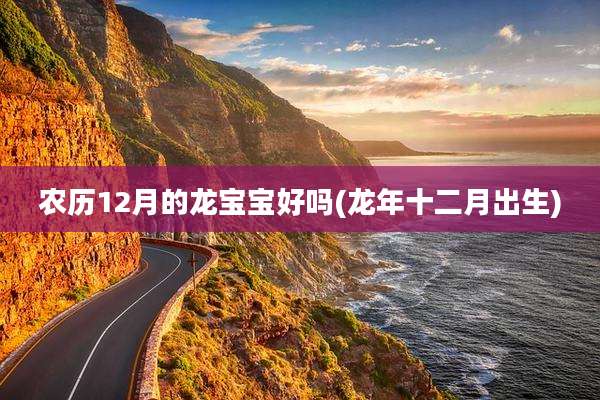 农历12月的龙宝宝好吗(龙年十二月出生)