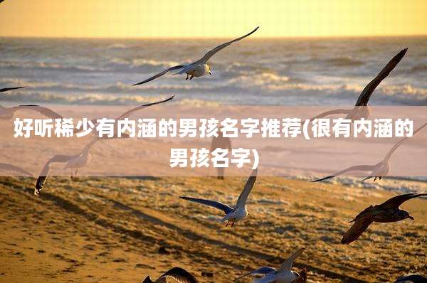 好听稀少有内涵的男孩名字推荐(很有内涵的男孩名字)