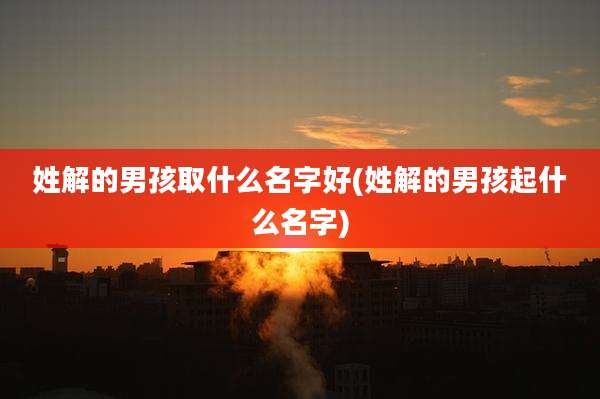 姓解的男孩取什么名字好(姓解的男孩起什么名字)