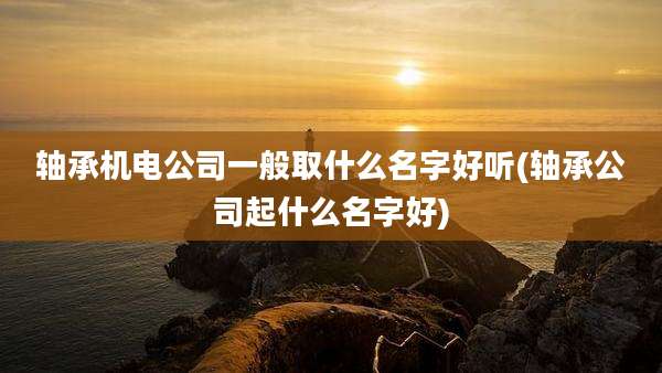轴承机电公司一般取什么名字好听(轴承公司起什么名字好)