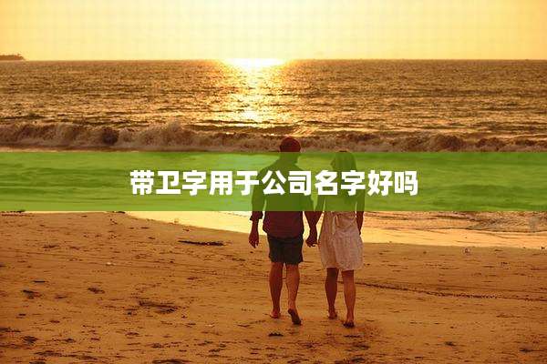 带卫字用于公司名字好吗