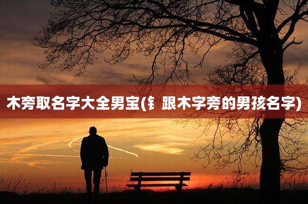 木旁取名字大全男宝(钅跟木字旁的男孩名字)