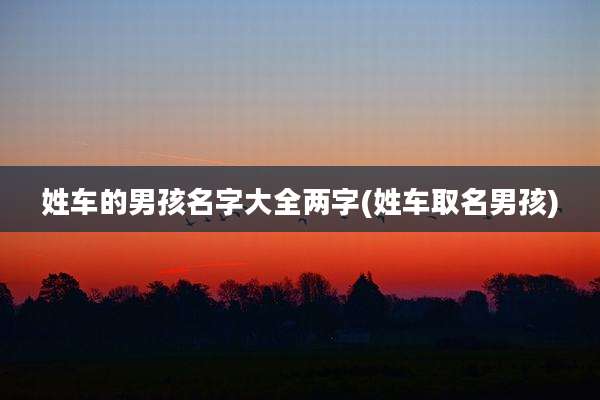 姓车的男孩名字大全两字(姓车取名男孩)