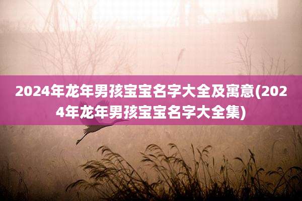 2024年龙年男孩宝宝名字大全及寓意(2024年龙年男孩宝宝名字大全集)