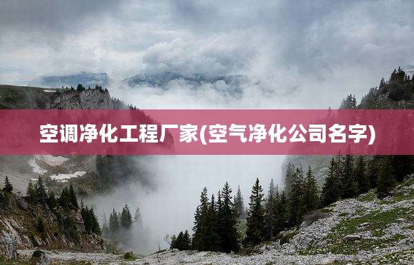空调净化工程厂家(空气净化公司名字)