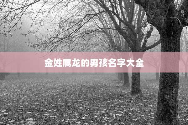 金姓属龙的男孩名字大全