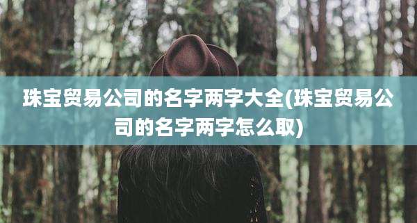 珠宝贸易公司的名字两字大全(珠宝贸易公司的名字两字怎么取)