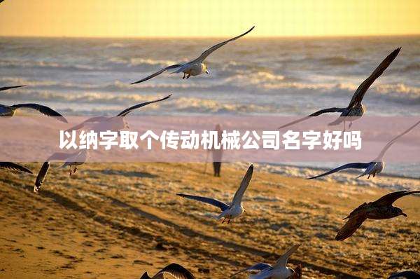 以纳字取个传动机械公司名字好吗